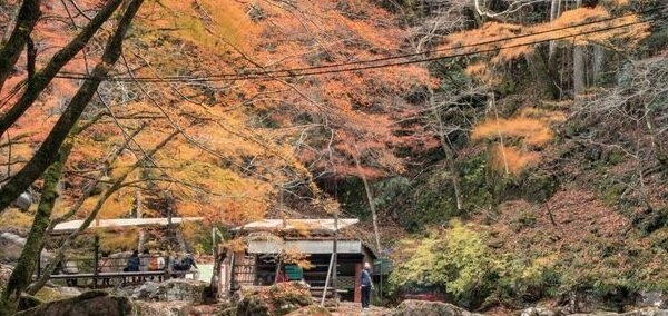 パン屋さん　引越し